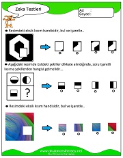 Zeka Gelişim Testleri